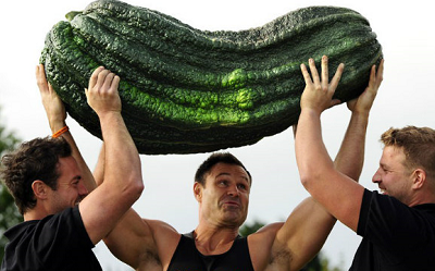 zucchini.png