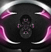 arachnids222.jpg