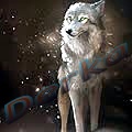 IMG_20140305_214931.jpg