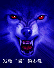 wolf-gif-6.gif