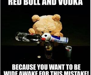 red_bull_and_vodka_th.jpg