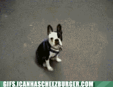 8ba34e9b-f2c0-4017-b652-739d777fd5d9.gif