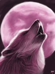 Pink Wolf.jpg