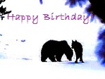 Wolf and Bear.jpg