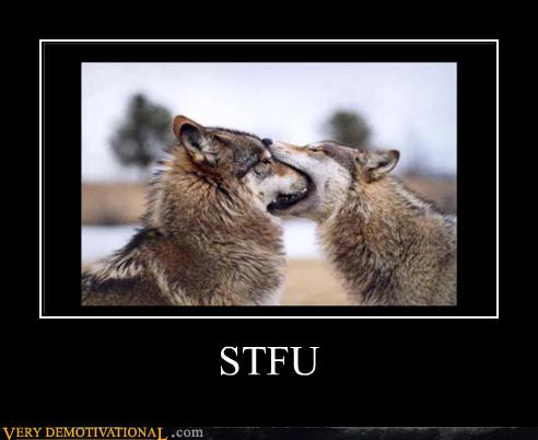 Wolf STFU.jpg